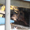 송진우동물병원 이미지