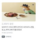 동동보감 | 강아지피부영양제 몽이의 피부 고민 해결! 장수보감 체험기