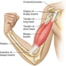 피쓰리짐 이미지