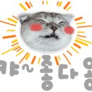 수원카서비스 이미지