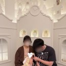 디파인더 바디 피트니스 | [디어원 산후조리원] 프리미엄 룸 2주 후기 - 조리원 천국 좋은데요, 앞날이 두려와요
