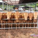 호기농장 이미지