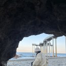 덕운횟집 | [여행] 겨울 포항 1박 2일 후기