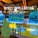 아름나무한의원 | 고흥 팔영산 편백 치유의숲 수치유 프로그램후기 | 쑥섬 다녀온 날 발견한 진짜 힐링 코스(전남사랑...