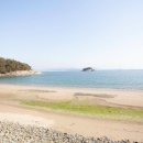 일월애관광농원 이미지