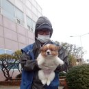 논산시 동물보호센터 이미지