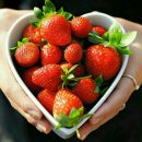 솜리커피 이미지