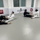 아트 주짓수 레슬링 이미지