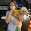 멍타냥택시 이미지