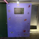 장충단로 | 스타벅스 프렌즈 콜라보 팝업스토어 MD후기 @장충라운지R