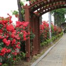 시흥3동 주민센터 이미지