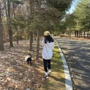 돈유1로 이미지