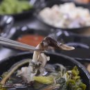 홍성농협주유소 이미지