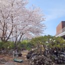 인천나비공원 | 청천동 제주감성 인천나비공원 카페맛집 랑데자뷰 인천부평점