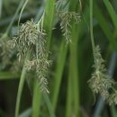 화문석마을 이미지