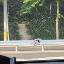 조은LPG충전소 이미지