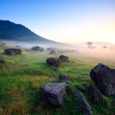 돌무덤농장 이미지