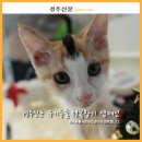 금척상리 네이버블로그
