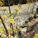 세동산골농원 네이버블로그