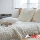 세탁의 신 이미지