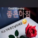 정성의료기상사 Daum카페
