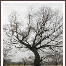 해미농장 이미지