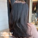 현진 | 잠실미용실 알렉산드르드파리 잠실 그레이스점 뿌리펌 레이어드펌 현진 디렉터 대만족 후기