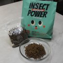인섹트 파워 이미지