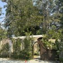 섬띠농장 이미지