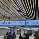 펫인더파크 이미지