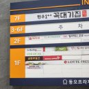 [ 인천 | 중산동 ] 영종도 낙곱새 낙지볶음 전문점 &#39;개미집&#39;