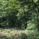 선의농원 이미지