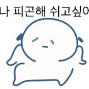 모토스파 이미지