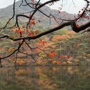 속리산둘레길 보은길3 이미지