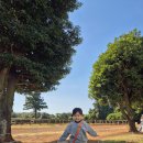 돌담목장 | 제주 승마체험과 카페를 한번에｜아이와 가기 좋은 제주 목장카페 밭디 후기