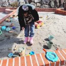사계절가설재 | 광주근교 온수풀있는 전남 키즈 글램핑장 아이랑함께 신스 펫 앤 키즈글램핑
