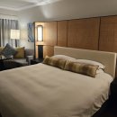 레드몰/동구프라자 | 괌 힐튼 호텔 프리미어타워 파샬 오션뷰 : 라운지, 수영장, 카페 ,셔틀버스 후기