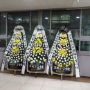 조치과의원 이미지