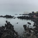 동문로터리, 동문시장 (관덕정방면) 이미지