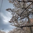 도원고등학교앞 이미지