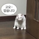 네일&왁싱by.고윤 - 6081 | 네일&왁싱by.고윤