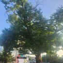 로또애견 용품점 이미지