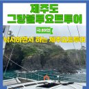제주도 요트투어 추천 그랑블루요트투어 제주도 낚시체험 후기