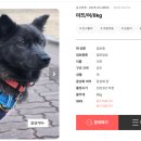 하콩이네 이미지