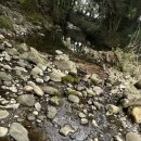 하례학림로 이미지