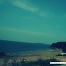 삽시도통나무펜션 | 삽시도여행 2탄! /대천항/펜션/소라/갯벌체험/배편/