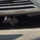 수원천로458번길 이미지