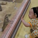 광명로 323번길 이미지