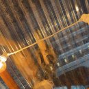 청춘 소곱창전골 이미지