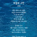 비와시 이미지